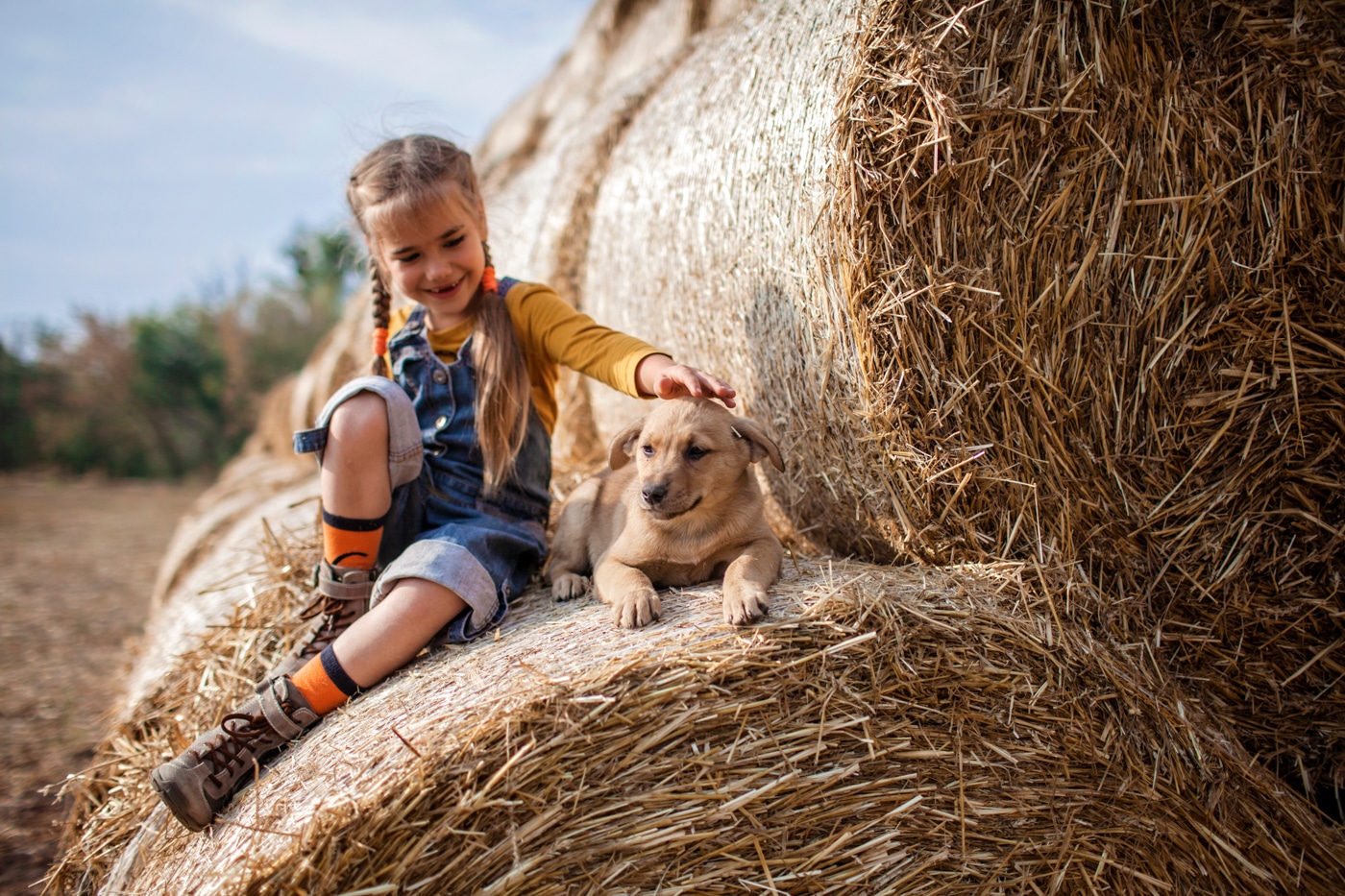 A girl and a puppy sitting on round bales in a harvested field