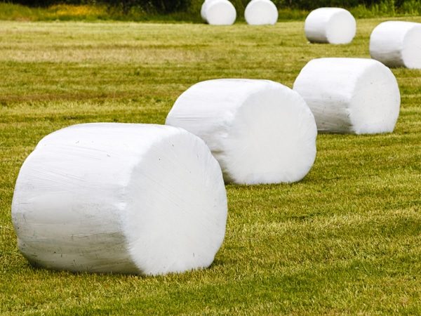 Silage film sealing fermented forage on an Iowa farm